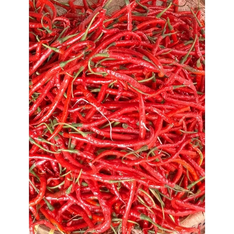 

Cabe Merah 500gr