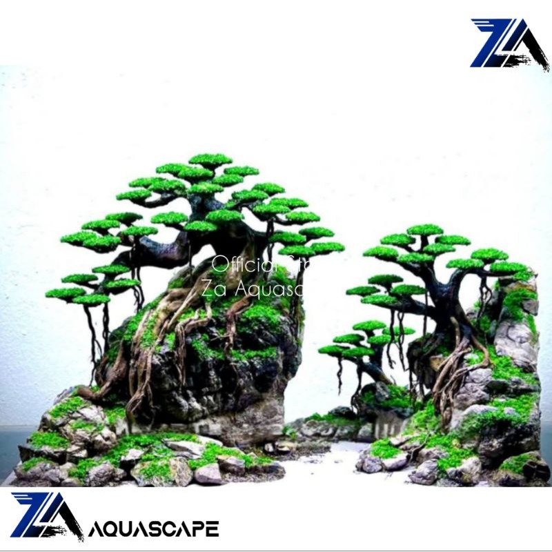 Bonsai Aquascape jumbo bonsai doyong Hiyasan Aquascape pohon untuk aquarium 50cm  - Bonsai akar rasa