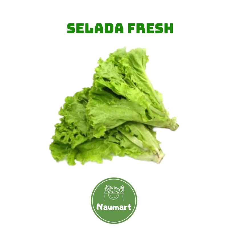 

SELADA FRESH 250GRAM | 500GRAM | 1KG