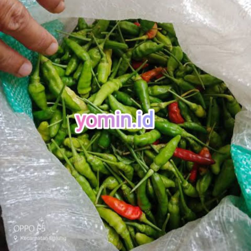 

Cabe Rawit/ Cabe Cablak Petik/ Tanpa Tangkai 250gr