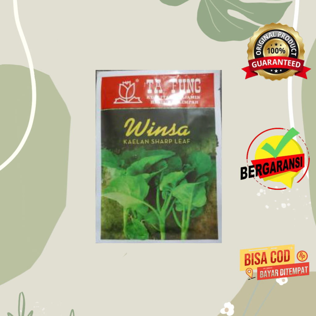 Benih kailan winsa 20 gram