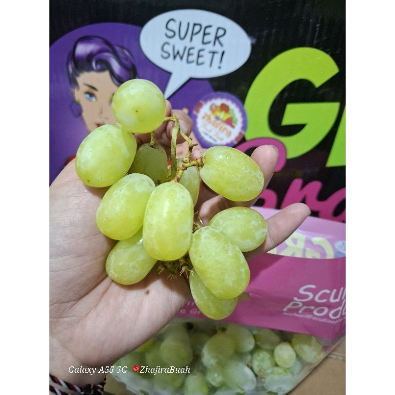 

PROMO ANGGUR HIJAU SUPER SWEET CHRISPY