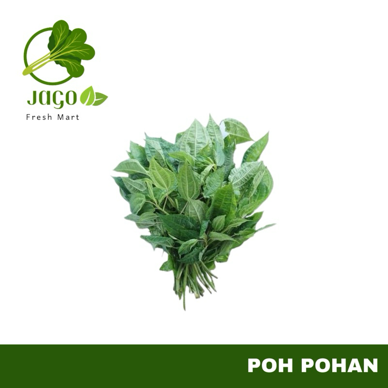 

INSTANT Daun Poh Pohan