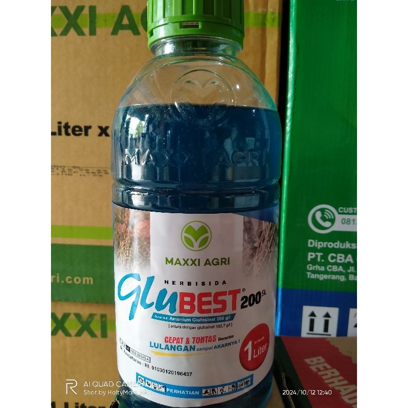 Glubest 200SL obat rumput Lulangan, Grinting, Alang-alang