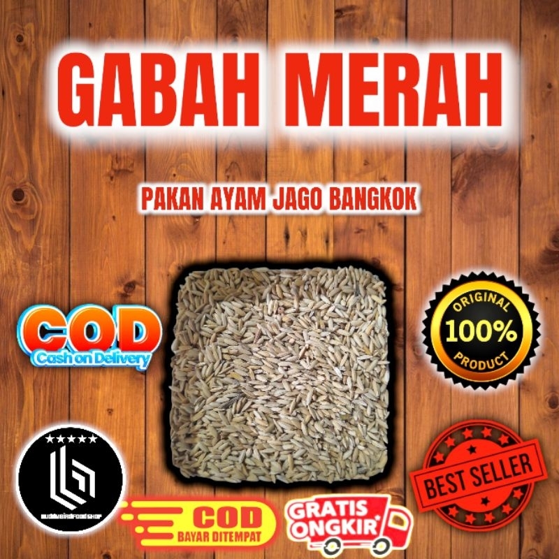 Gabah merah pakan ayam jago bangkok,birma,hamster dll