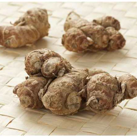 

Kencur Segar 250 gram - Rempah Masakan