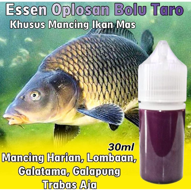 Essen Ikan Mas Bolu Taro, Essen Ikan Mas Oplosan, Essen Ikan Mas Galapung, Essen Ikan Mas Galatama