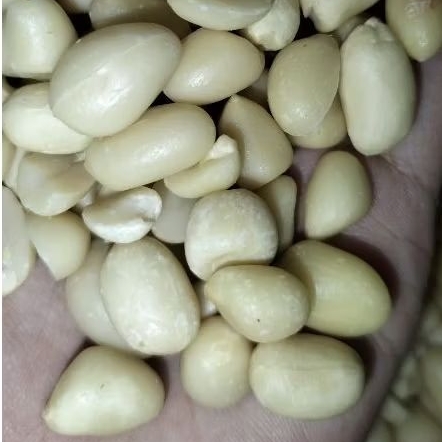 

KACANG TANAH KUPAS SUPER PREMIUM 500GR