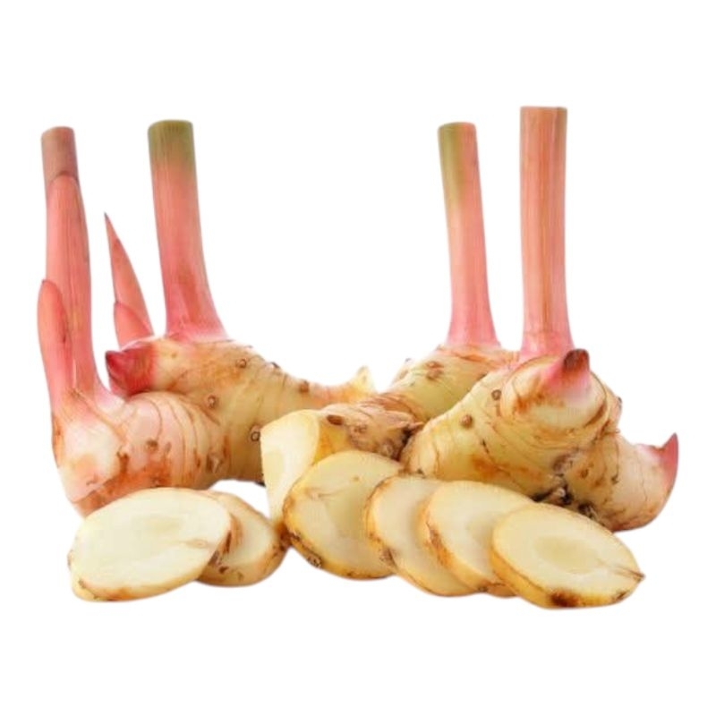 

lengkuas/laos bumbu dapur 1kg segar,kebutuhan memasak,bumbu masak,rempah-rempah
