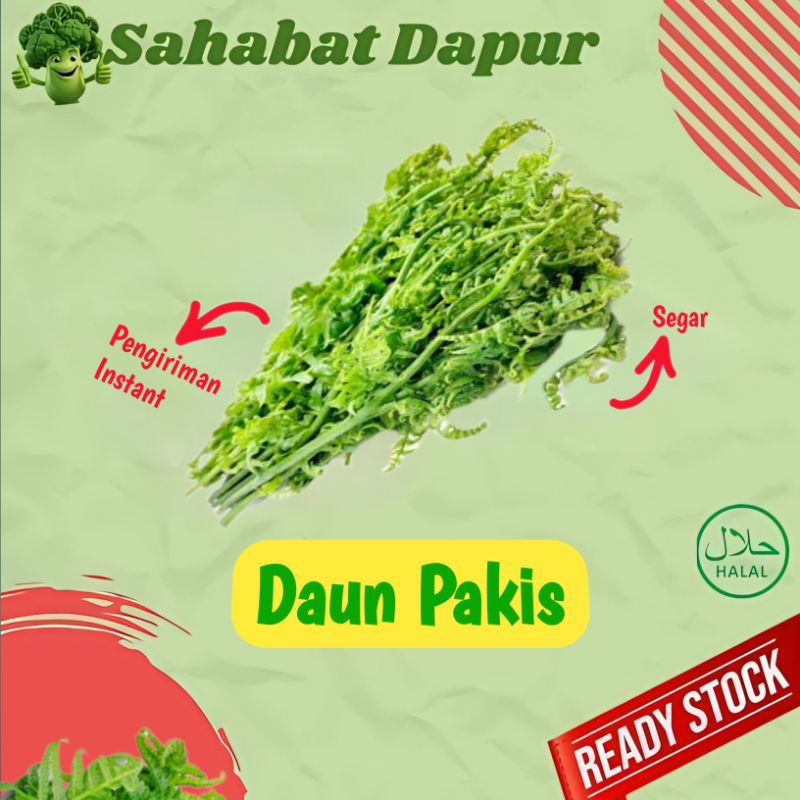 

Sayur Pakis / Daun Pakis - Sayuran Segar Palembang