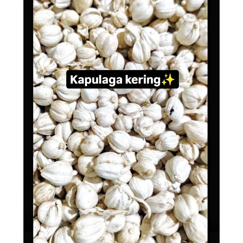 

kapulaga kering 1kg kualitas premium | kapulaga original 100℅| bumbu masak | bumbu dapur | rempah-rempah alami
