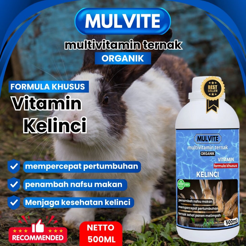 MULVITE Vitamin Probiotik Vitamin Suplemen Kelinci Hias Anggora Fuzzy Lop Holland Netherland Dwarf K