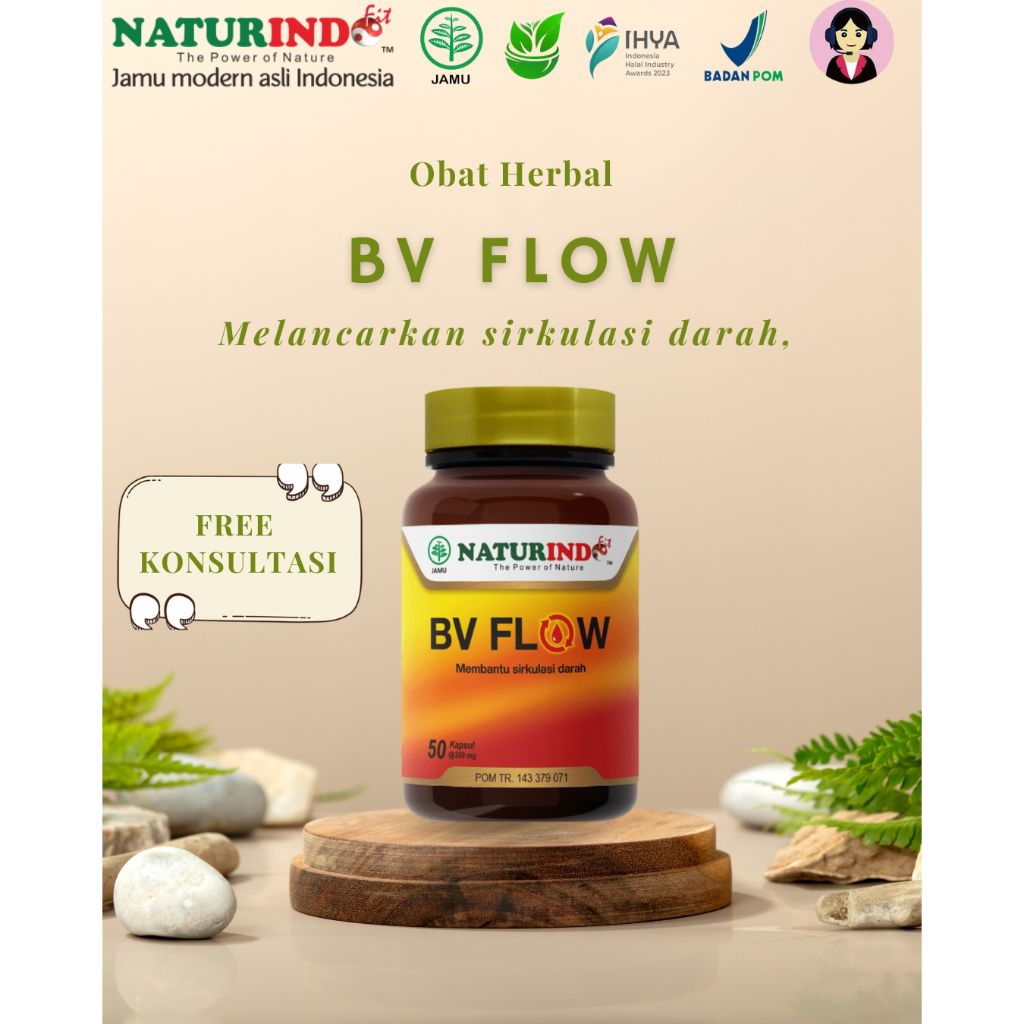 BV Flow obat pelancar sirkulasi darah pasca stroke melancarkan sirkulasi darah Naturinfo BV Flow