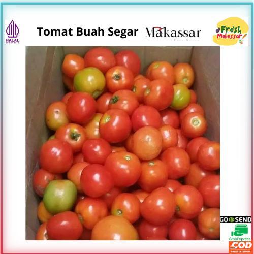 

Tomar Buah Merah,Tomat Buah segar,sayur makassar,Tomat Buah makassar,Tomat Segar segar,Tomat Buah murah,Tomat murah,sayur murah makassar,Tomat Merah,hijau,Tomat buah,Tomat buah segar Tomat,Tomat Berkualitas,Ecer Tomat,Grosir Tomat,Harga Tomat