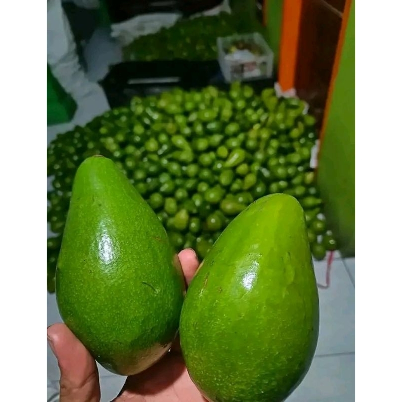 

alpukat mentega segar 1kg