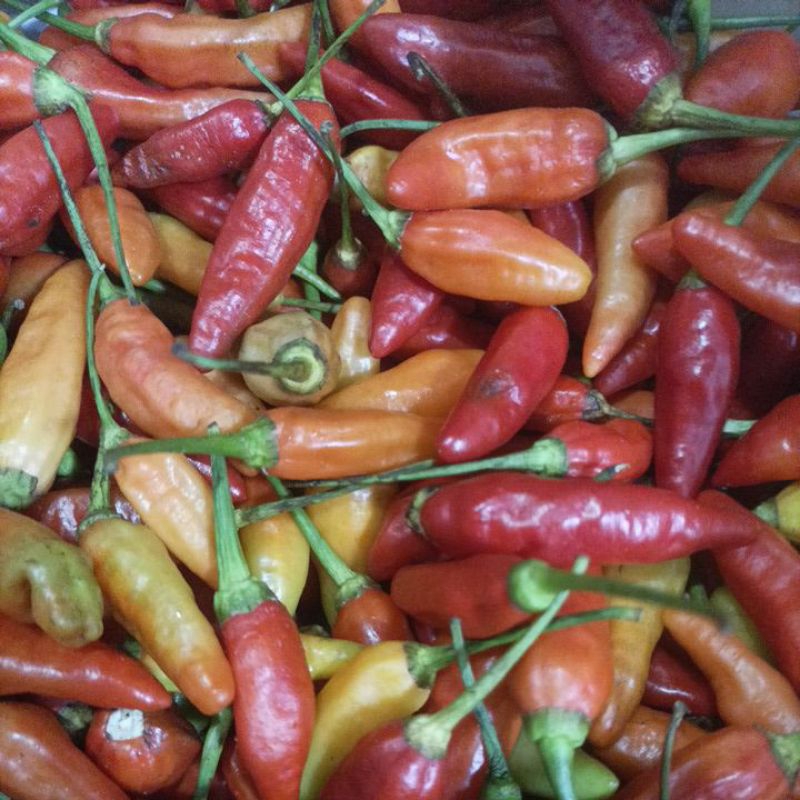 

rawit merah 1kg
