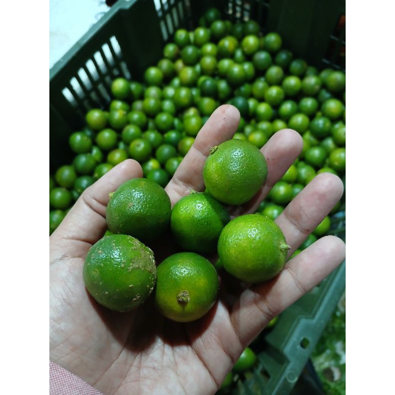 

INSTAN - JERUK LEMON CUI / SONKIT 500GRAM