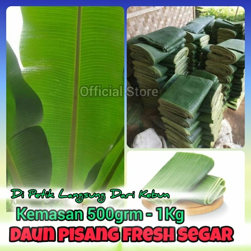 

1-Kg Daun Pisang Segar / Daun Pisang / Daun Pisang Fresh