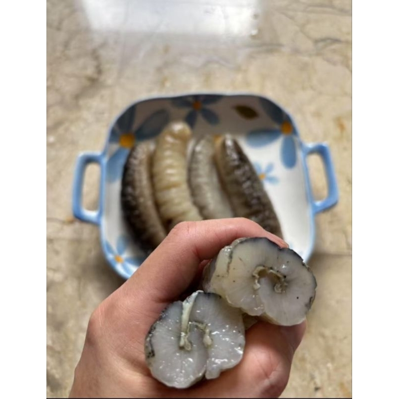 

Teripang gosok size 10-15ekor per kg