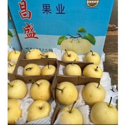 

Buah Pear Century Changseng Jual Per 1 Dus Karton