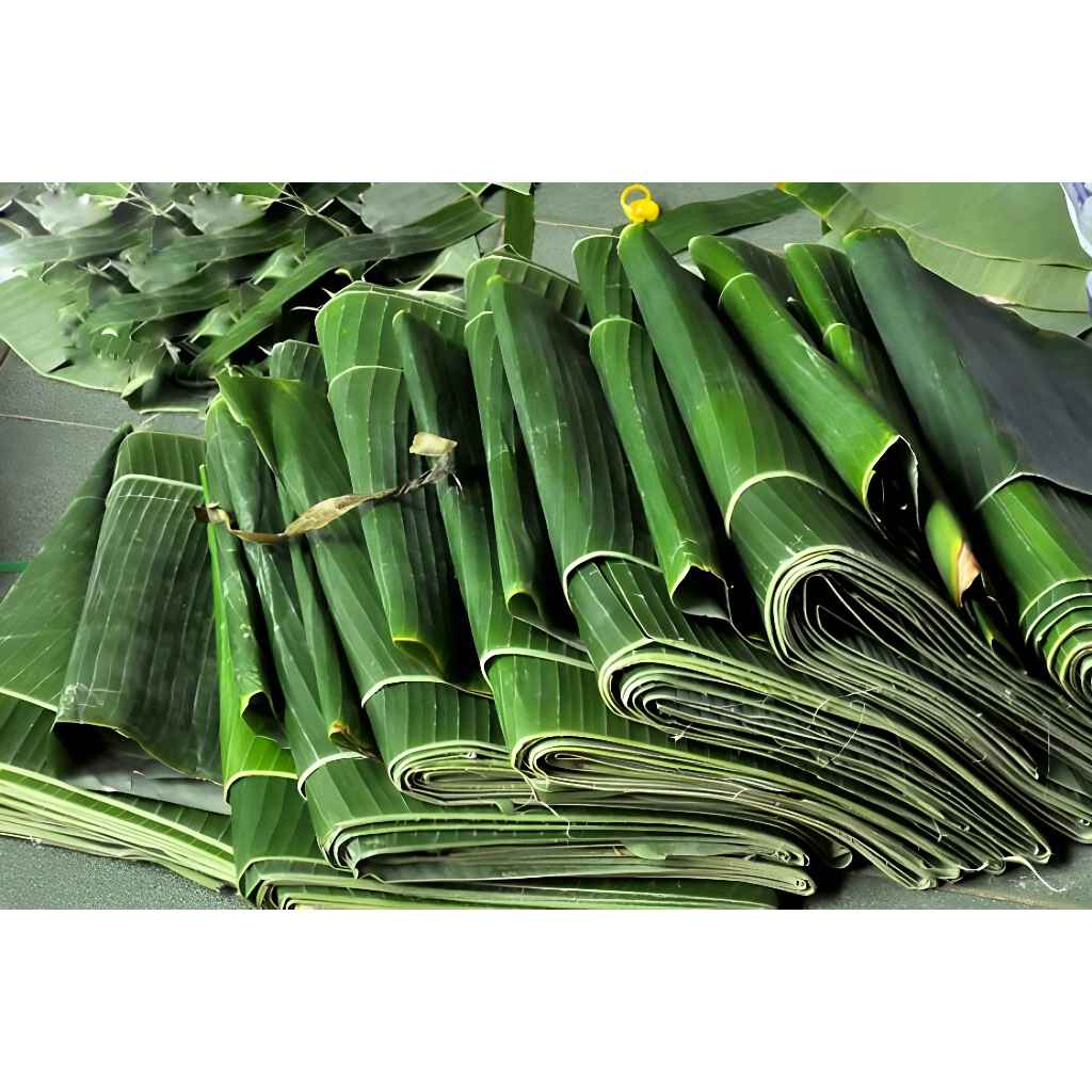

Daun Pisang Segar Perikat