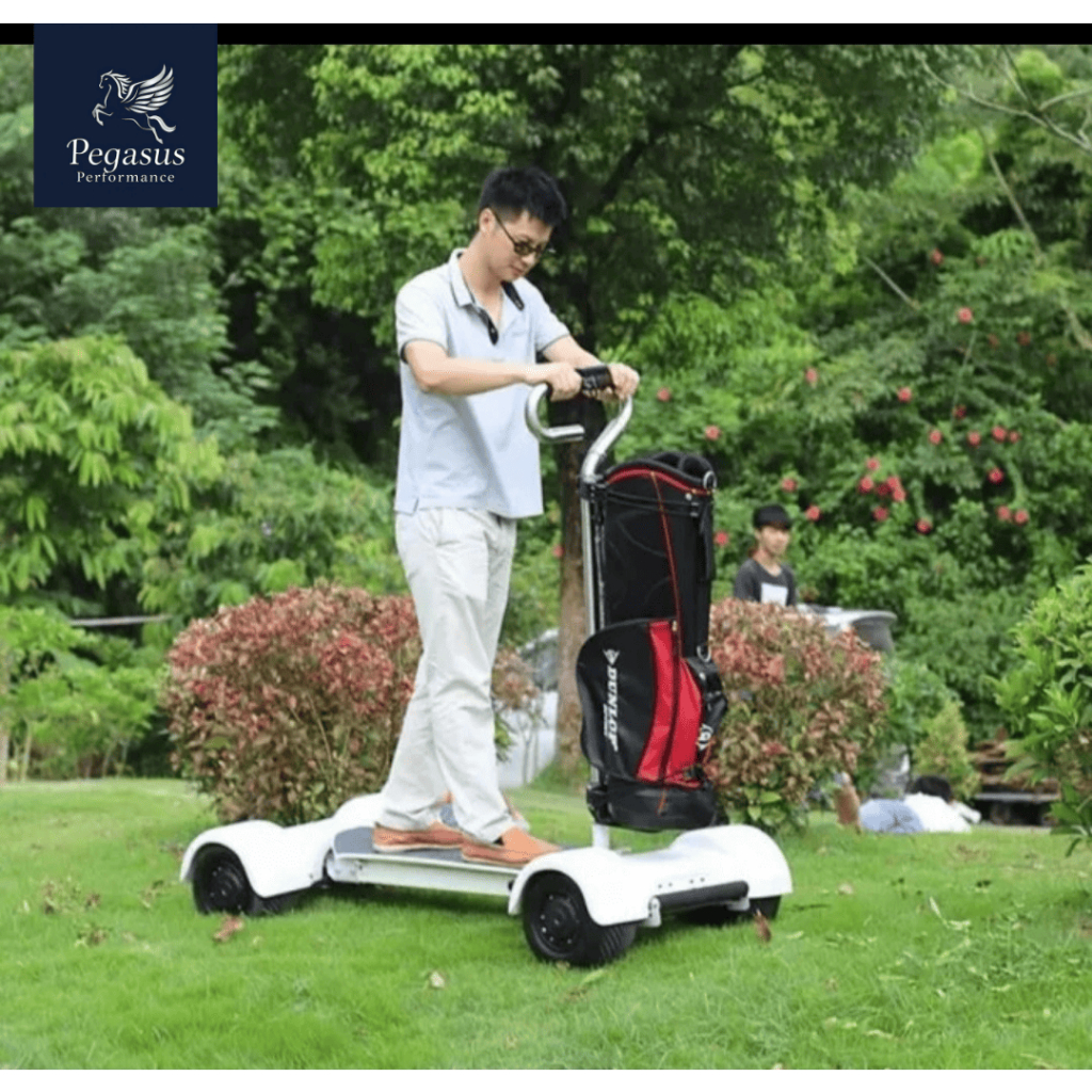 Scooter Electric Skateboard Golf