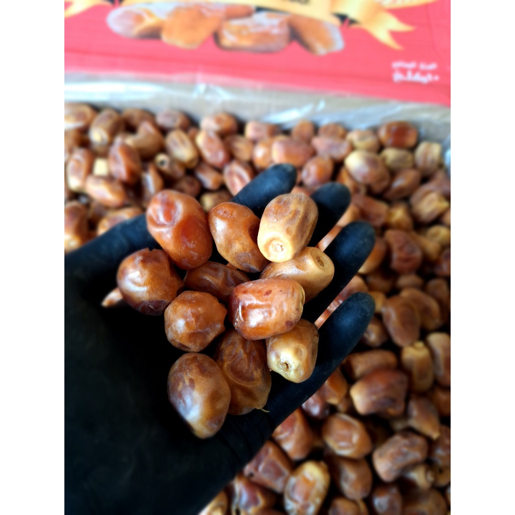 

Kurma Naghal Fresh Baru Manis Sedang 1 Kg Untuk Kesehatan Dewasa Anak- Paling Murah Kualitas Terbaru