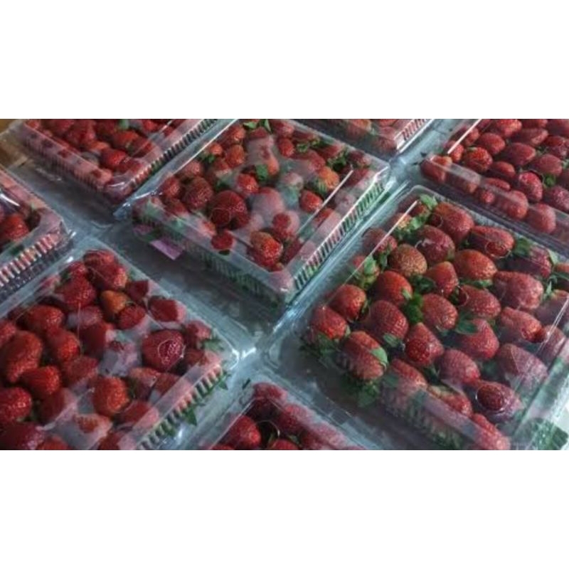 

Stroberi Fresh 1 pack 1 kg