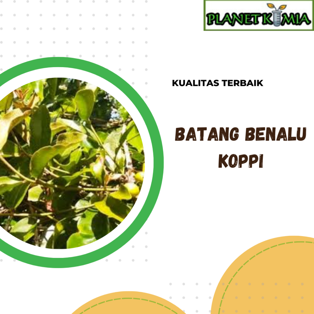 

dried,serbuk batang benalu koppi best product