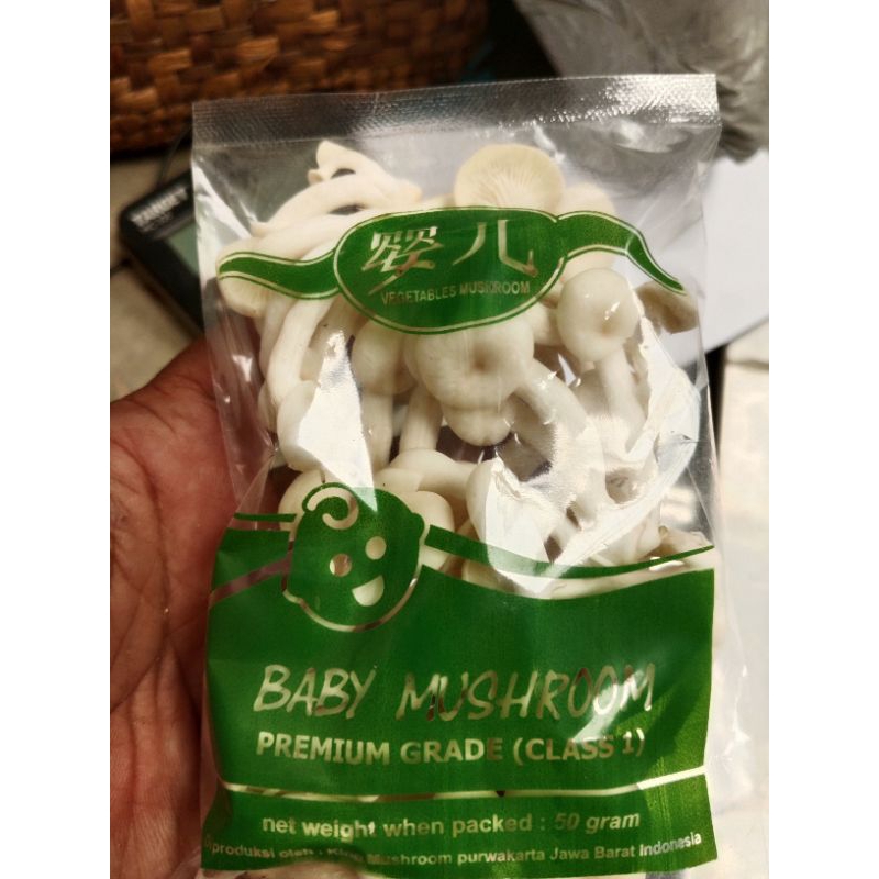 

Baby Mushrooms
