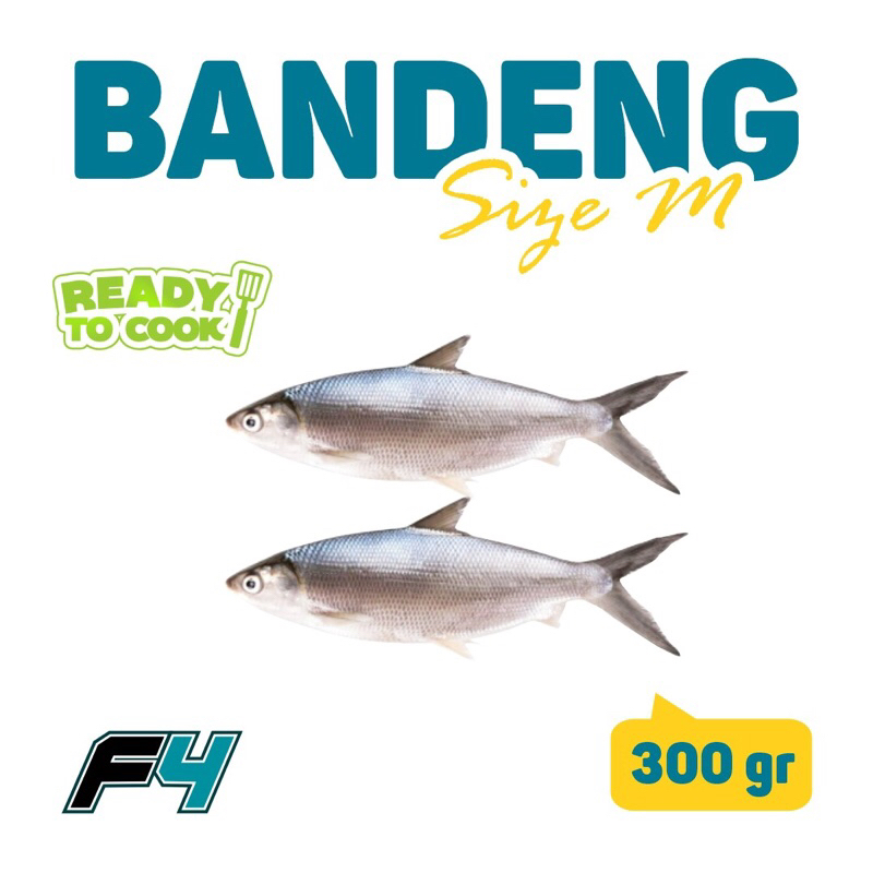 

Bandeng Cabut Tulang Sise M 330 - 399 gram