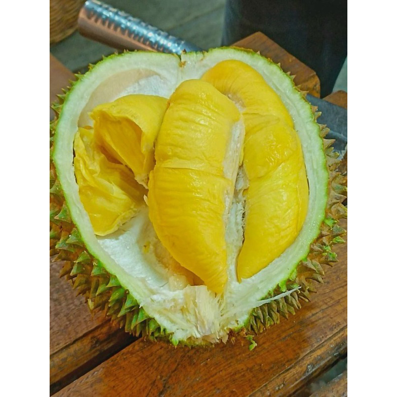 

DURIAN MONTONG KUPAS PREMIUM BERKUALITAS