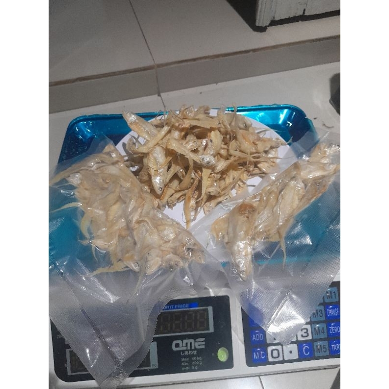

Ikan Bulu Ayam Kualitas Premium TERMURAH Bisa COD