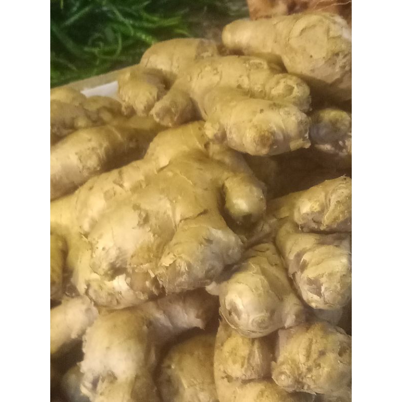 

jahe super besar2 250grm