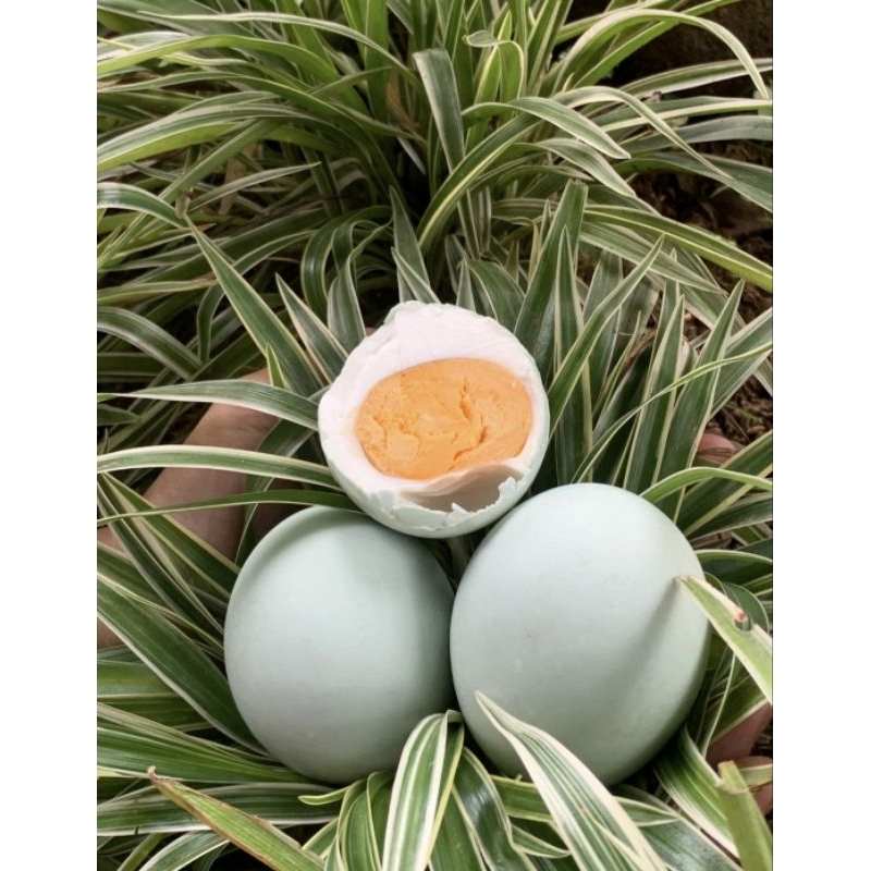 

Telur asin
