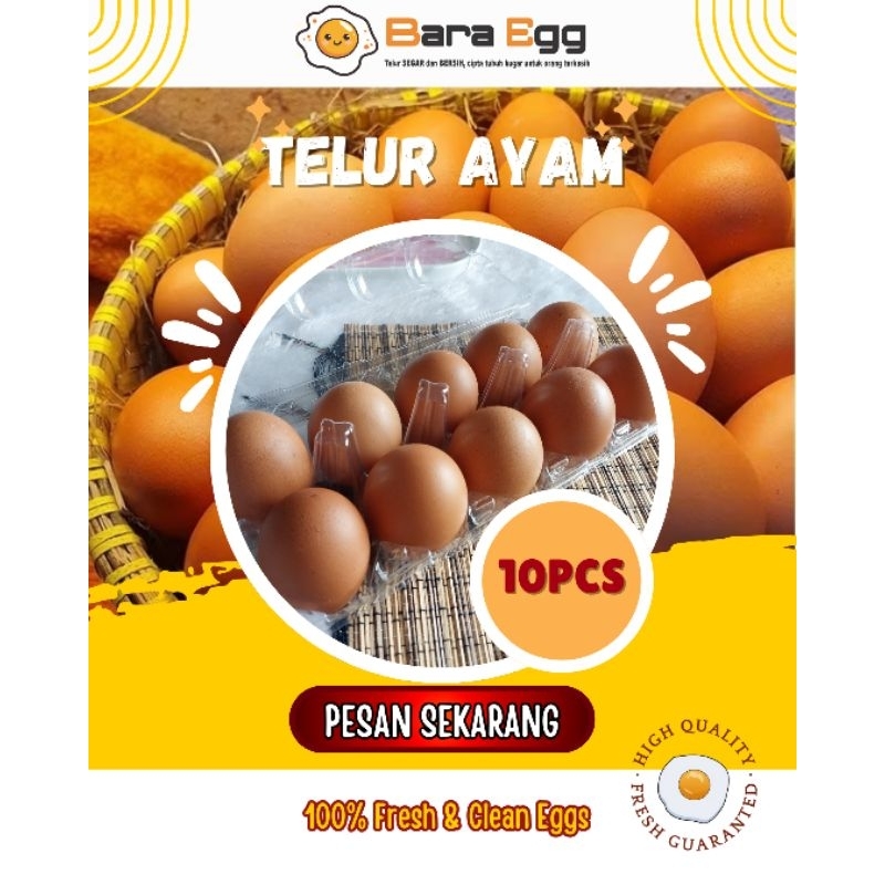 

TELUR AYAM MENTAH ISI 10, JUAL TELUR AYAM, JUAL TELUR AYAM GROSIR, JUAL TELUR AYAM ECER, JUAL TELUR AYAM ANTI PECAH, TELUR AYAM FRESH, TELUR AYAM BERSIH, TELUR AYAM PREMIUM, JUAL TELUR AYAM NEGERI, TELUR AYAM HIGH QUALITY