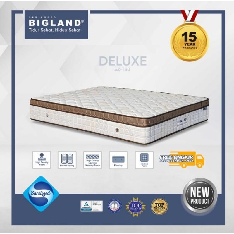 BIGLAND SPRINGBED BIG POCKET DELUXE PLUSHTOP T32 160X200/180X200