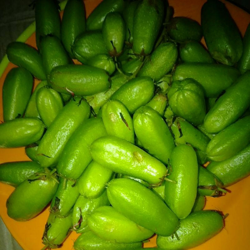 

BUAH BELIMBING BLIMBING WULUH