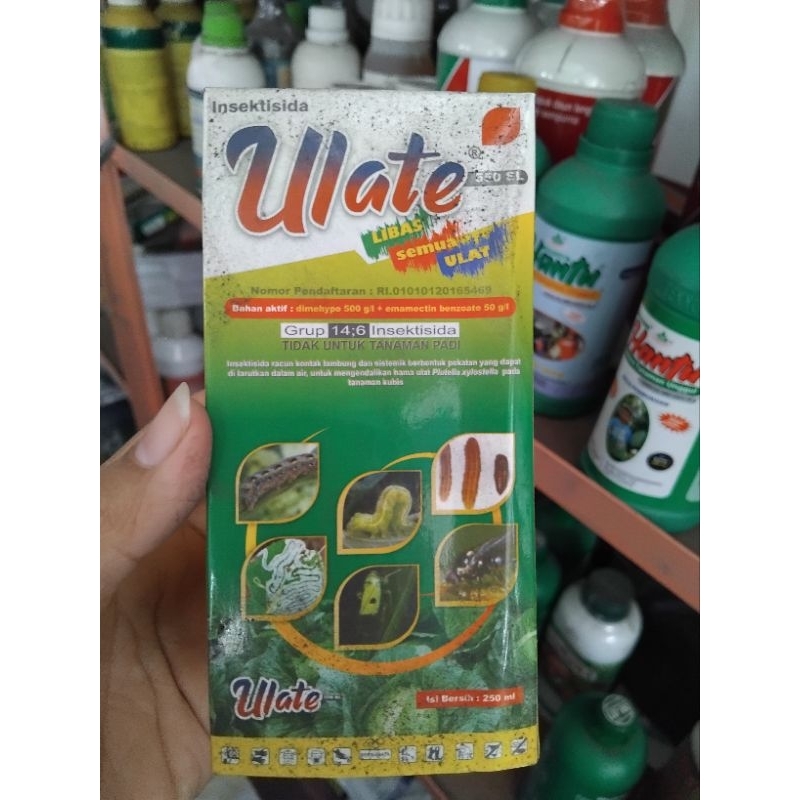 ULATE 200ml