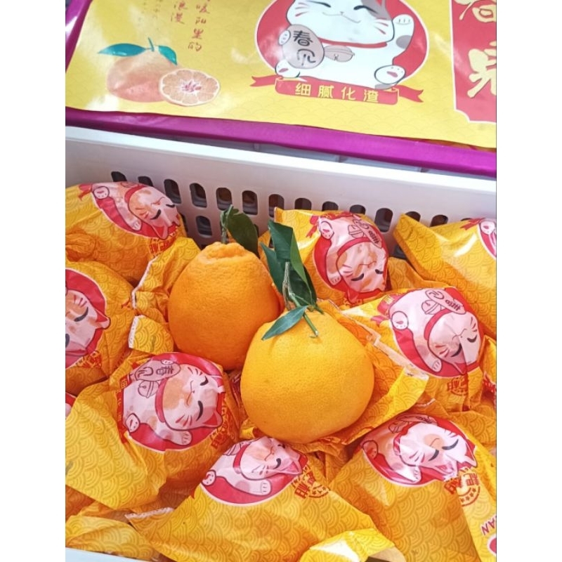 

Jeruk Papagan Kucing Kuning 5,5kg