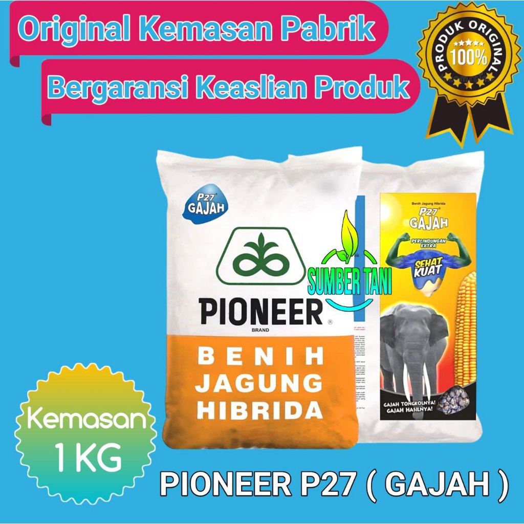 

PIONEER P27 GAJAH 1Kg | EXP : MAY-2025