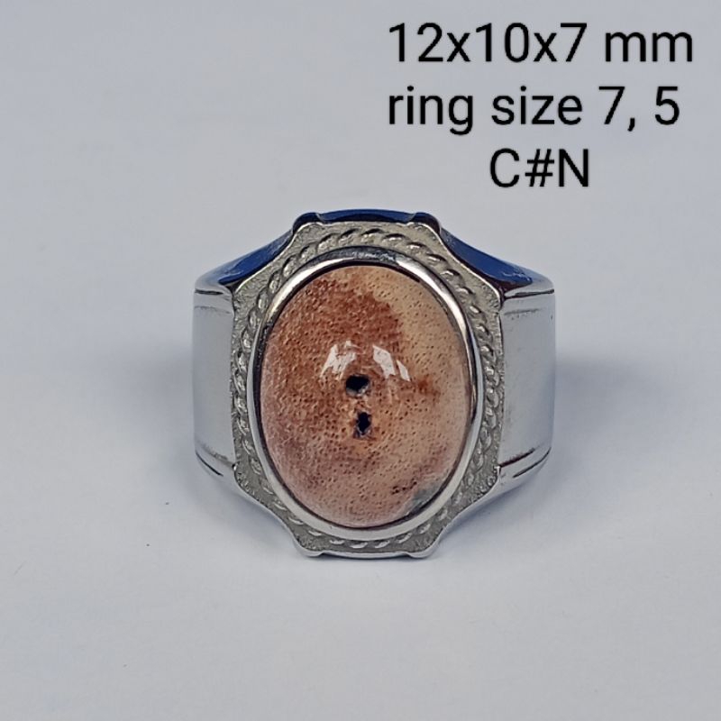 batu natural fosilkayu kelor, plus combong kembar,