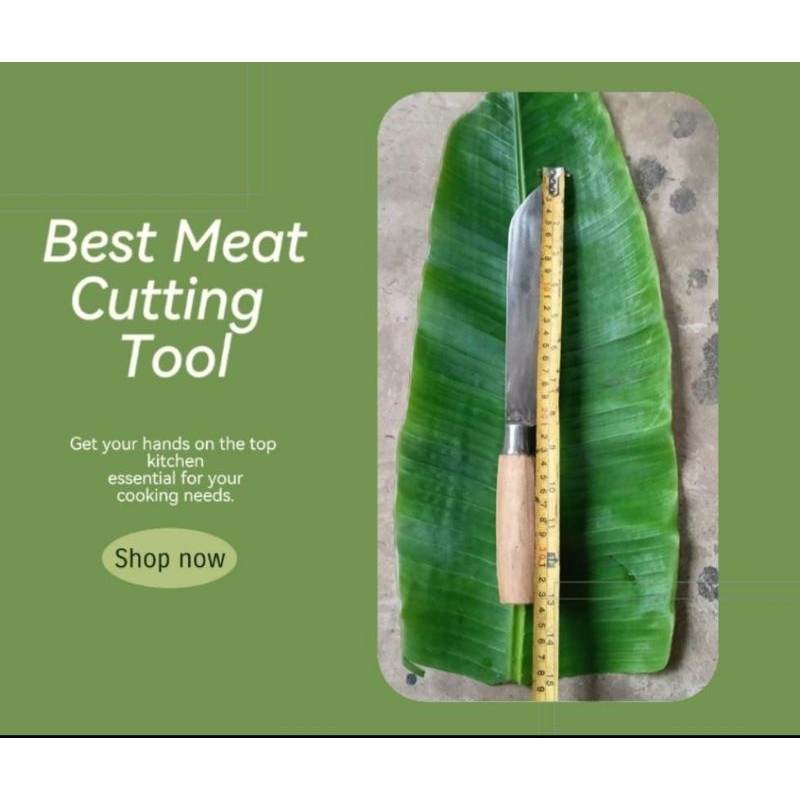 Best Meat Cutting Tool