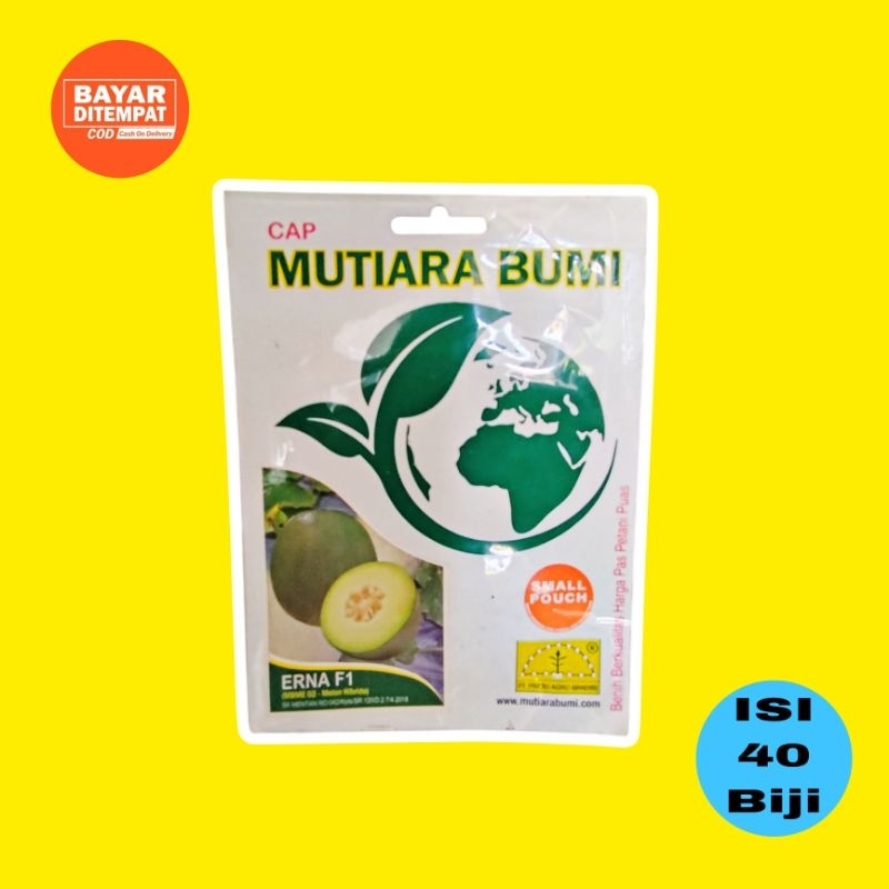 Erna F1 isi 40 butir benih melon hibrida cap mutiara bumi
