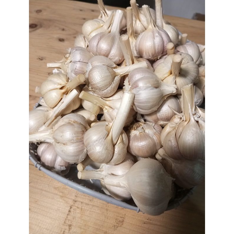 

bawang putih kating kupas