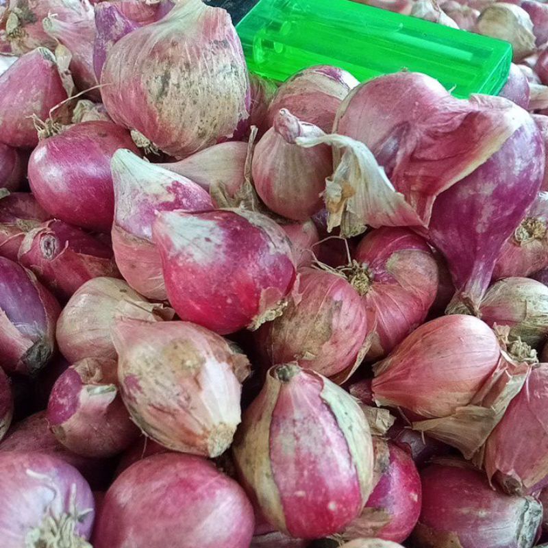 

Brambang