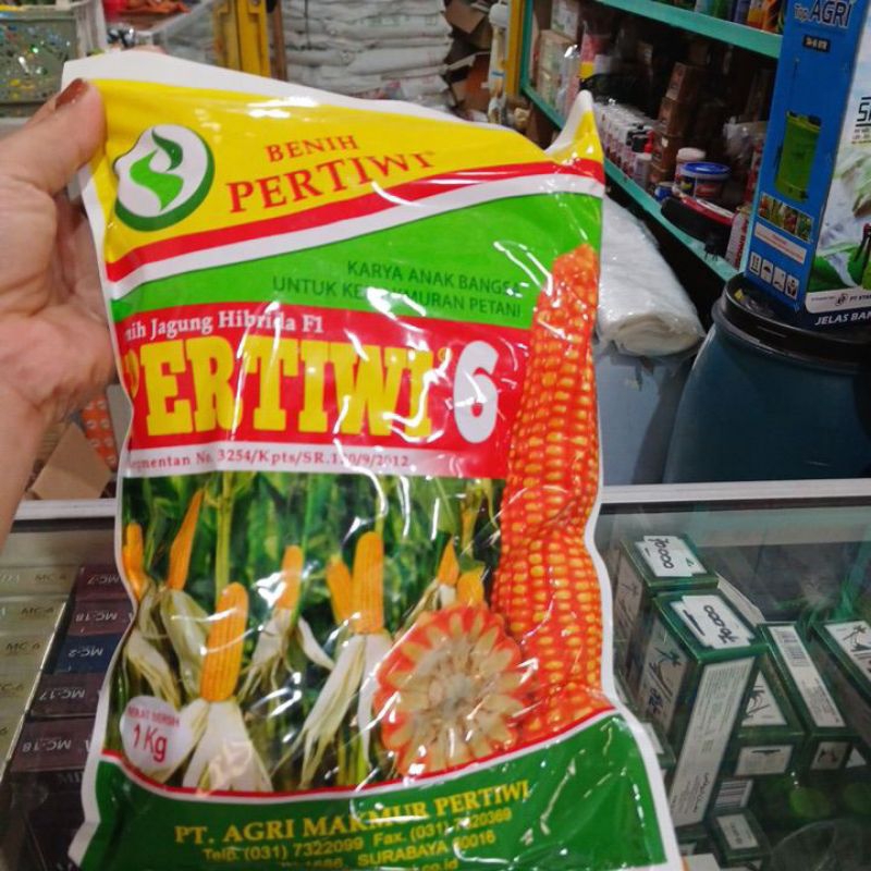 BENIH JAGUNG PERTIWI 6