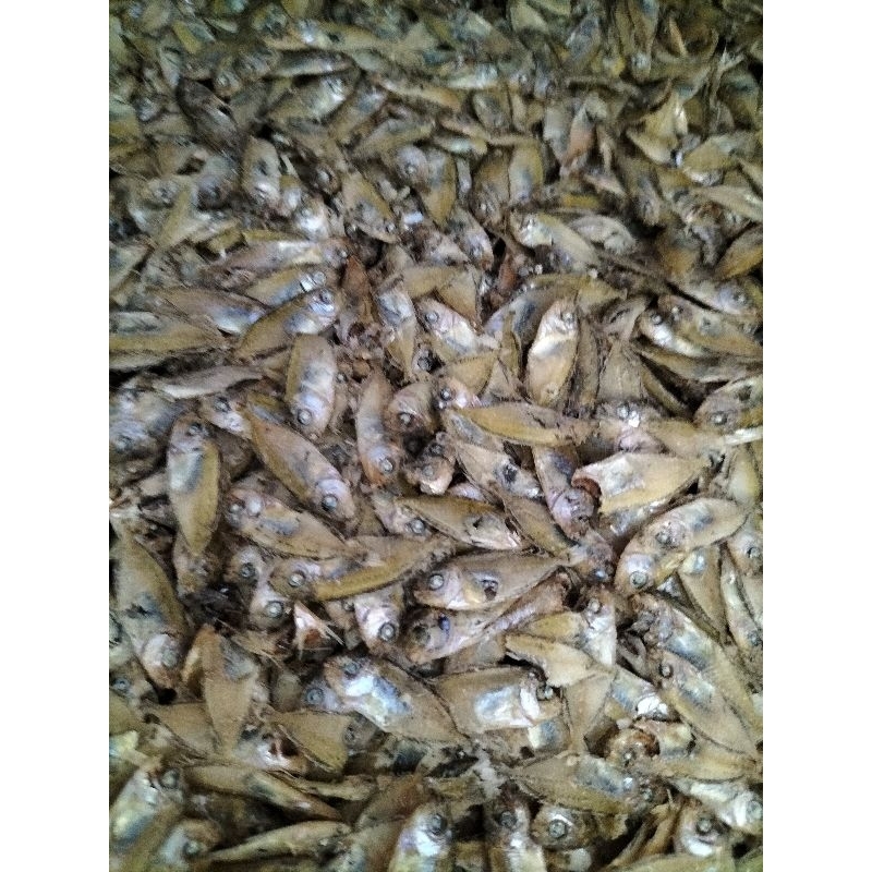 

Ikan Asin Tapis Super atau Merci Super