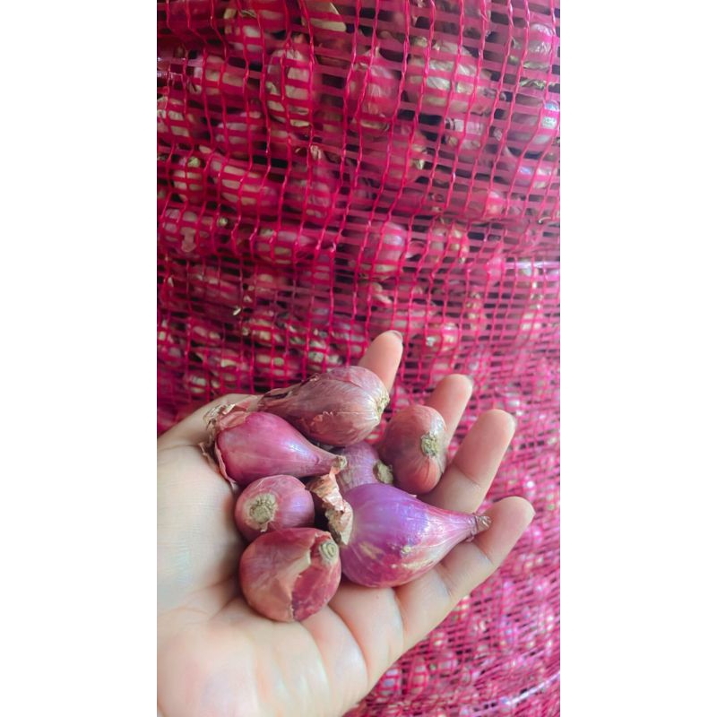 

bawang merah berkualitas 1 kg dan 500 gr