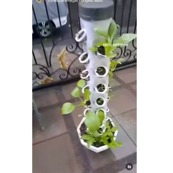 Paket Tanaman Hidroponik Lengkap dengan Tiang Penyangga dan Bibit Tanaman